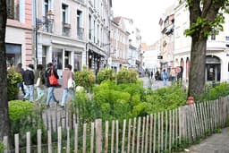 Bistrot, bar à vins, restaurants… Du nouveau à Mulhouse, ce printemps 2026 !
